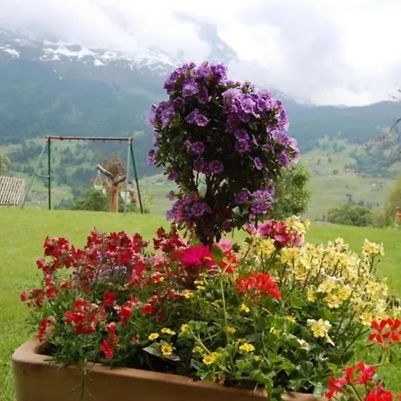 Chalet Burgstein, Studio Alpenrose グリンデルヴァルト